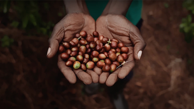Rwanda Green Fund - Ten Years of Green Impact